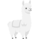 alpaca